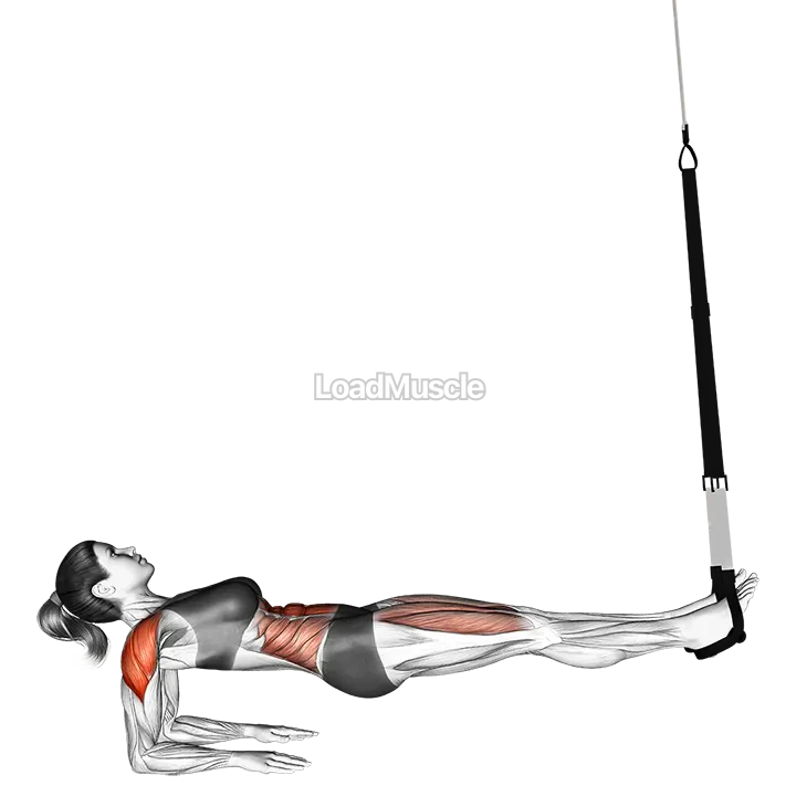 Suspender Supine Plank demonstration