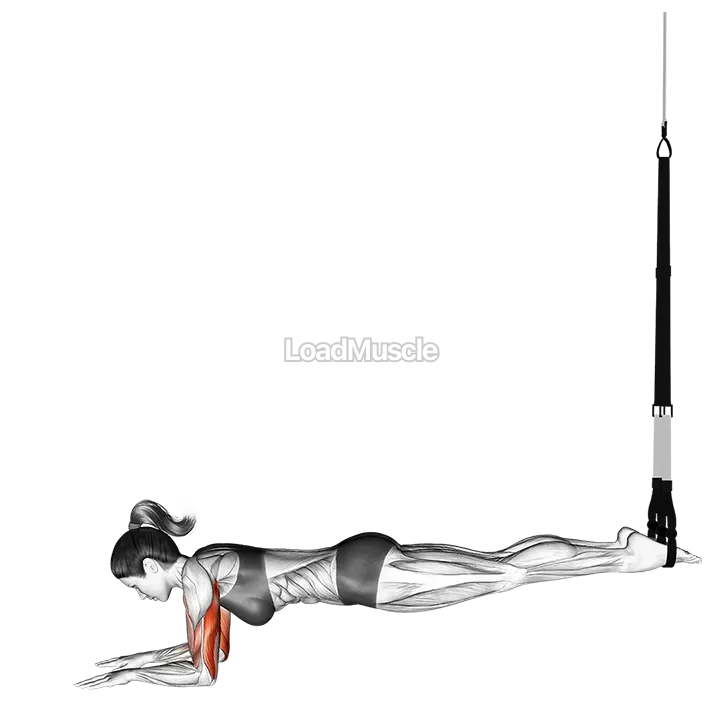 Suspender Triceps Extension Push up demonstration