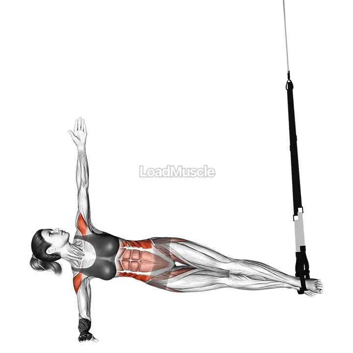 Suspender Twist Side demonstration