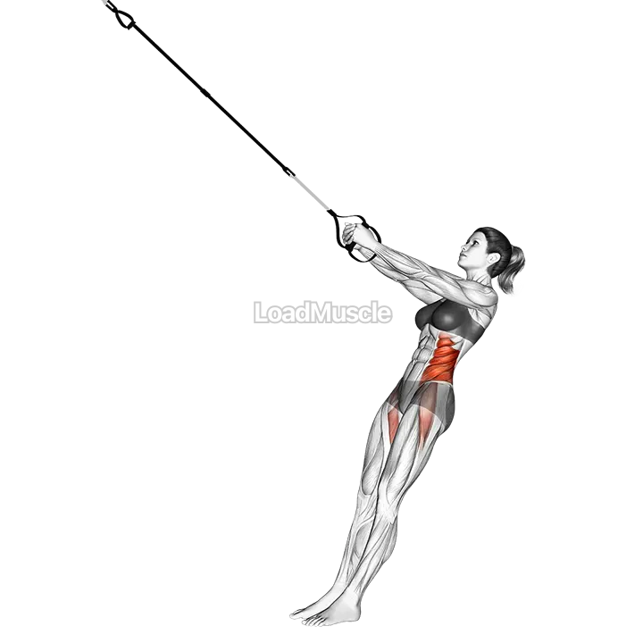 Suspender Twist Up demonstration