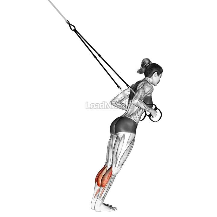 Suspender Calf Raise demonstration