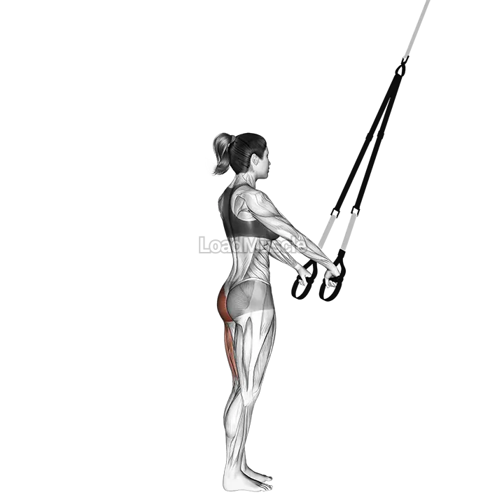 Suspender Single Leg Deadlift demonstration