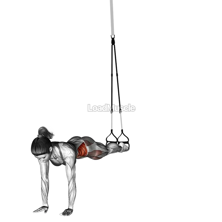 Suspender Pendulum demonstration