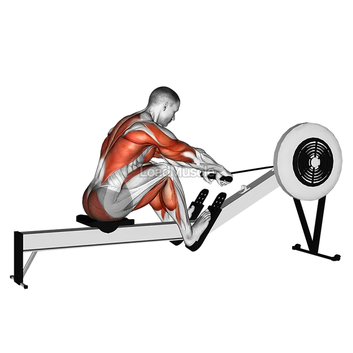 Rowing (with rowing machine) demonstration