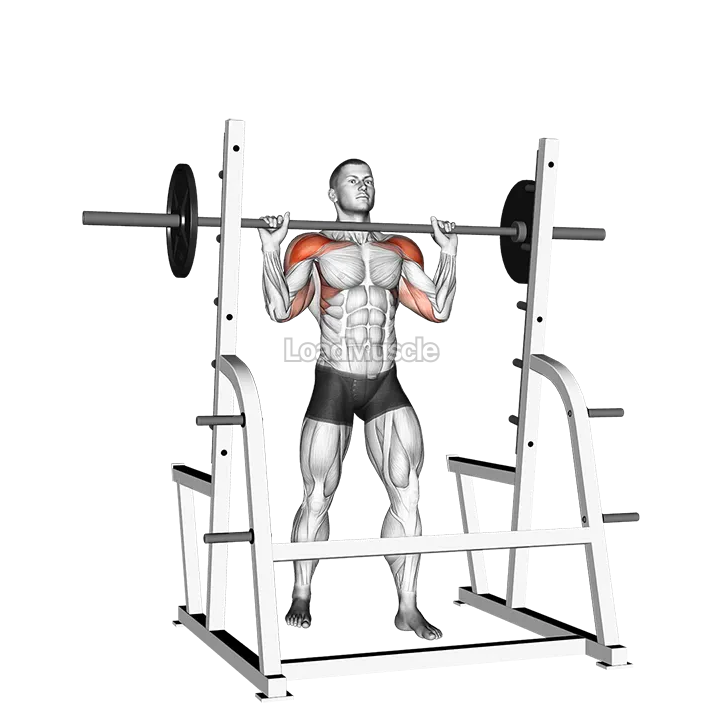 Barbell Standing Military Press demonstration