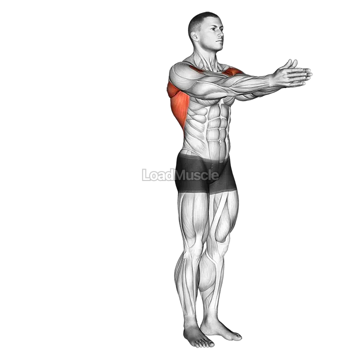 Dynamic Chest Stretch demonstration