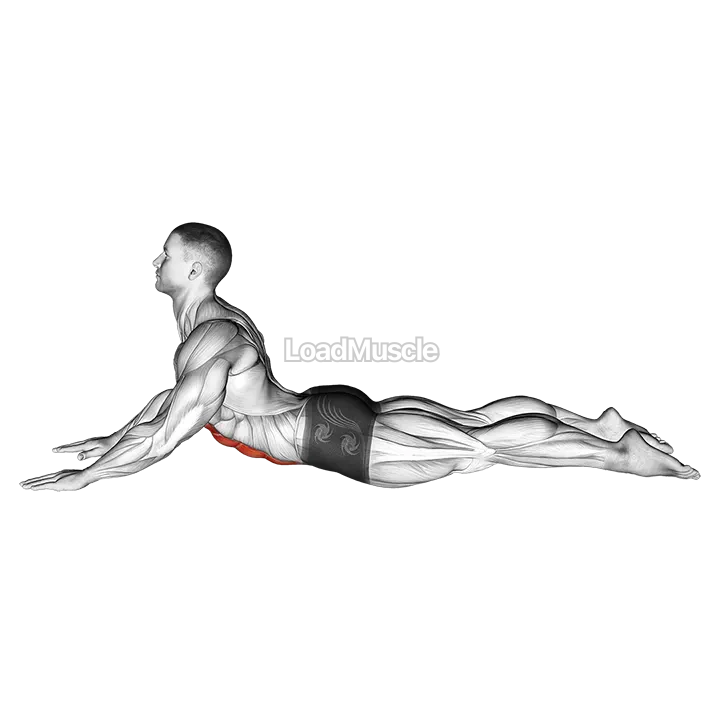 Lying (prone) Abdominal Stretch demonstration