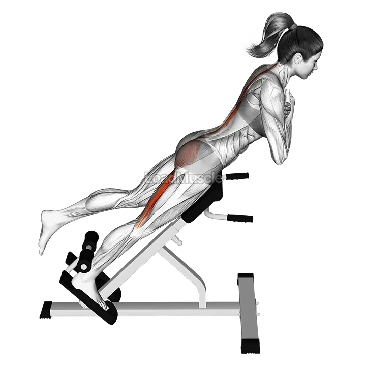 45 degree one leg hyperextension (arms in front of chest) demonstration