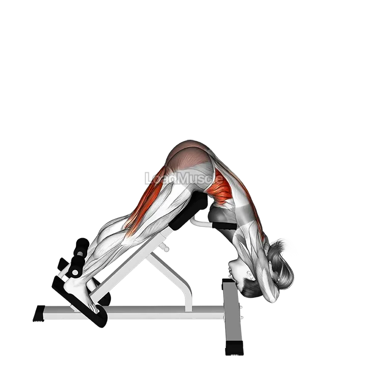 45 degree twisting hyperextension demonstration