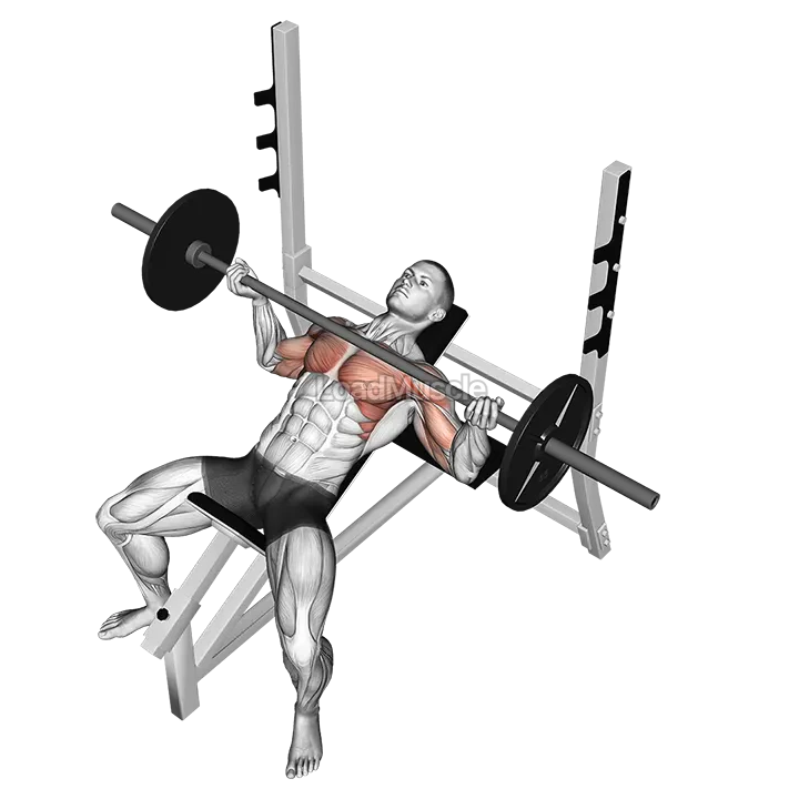 Barbell Incline Wide Reverse grip Bench Press demonstration