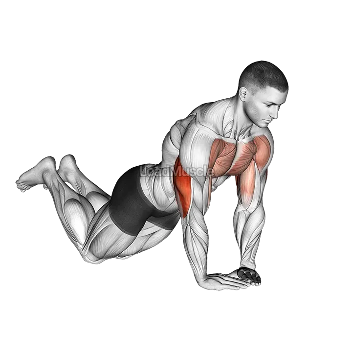 Diamond Push up (on knees) demonstration