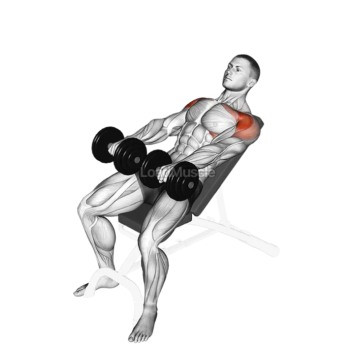 Dumbbell Incline Front Raise demonstration