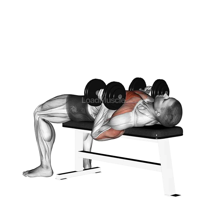 Dumbbell Lying Hammer Press demonstration