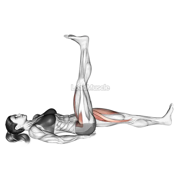 Lying Simultaneous Alternating Straight Leg Raise demonstration
