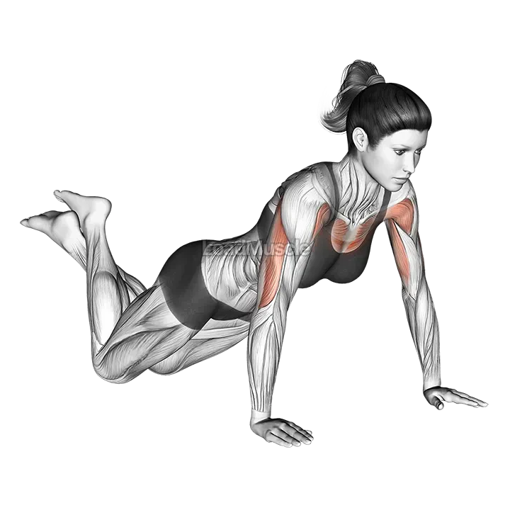 Push up (on knees) demonstration