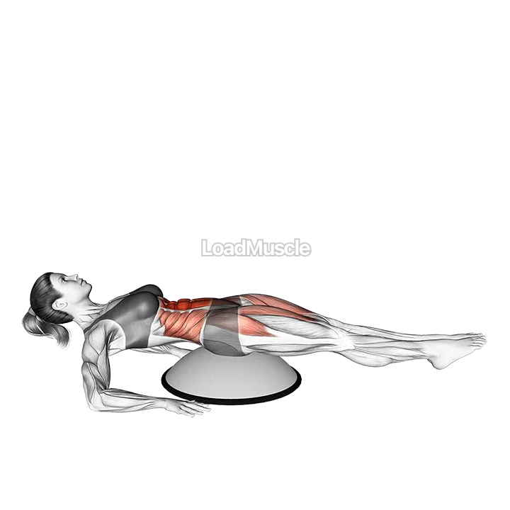 Alternate Straight Leg Raise (on bosu ball) demonstration