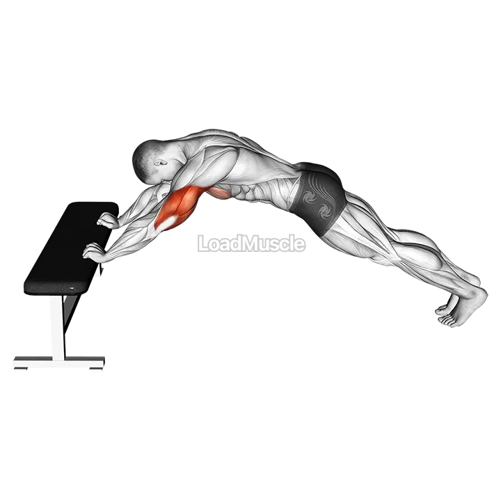 Triceps Press (Head Below Bench) demonstration