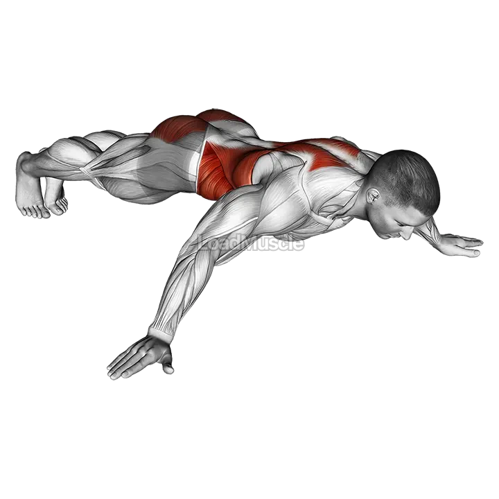 Iron Cross Plank demonstration