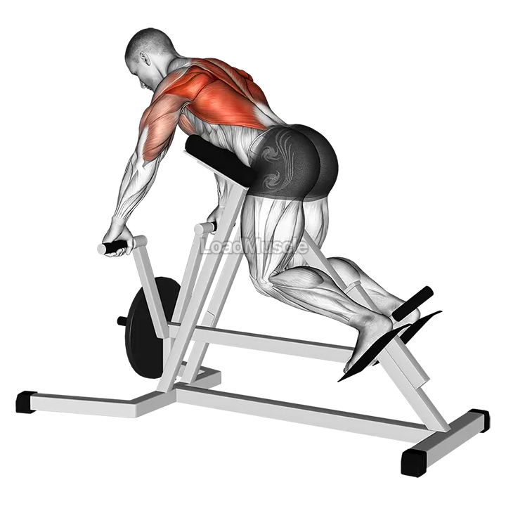Lever Lying T bar Row demonstration