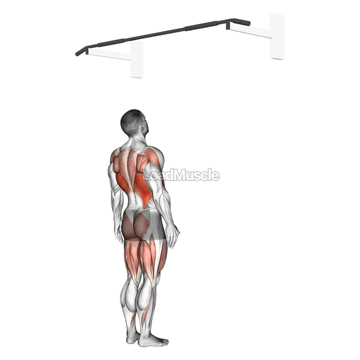 Jumping Pull up demonstration