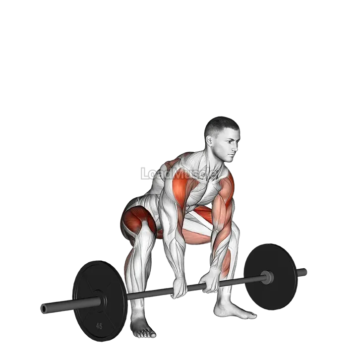 Sumo Deadlift High Pull demonstration