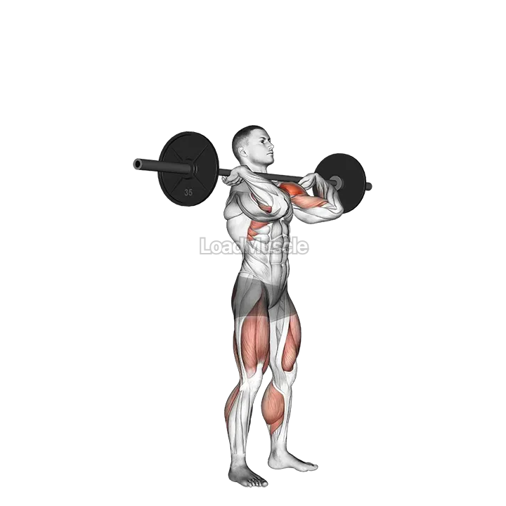 Push Press demonstration