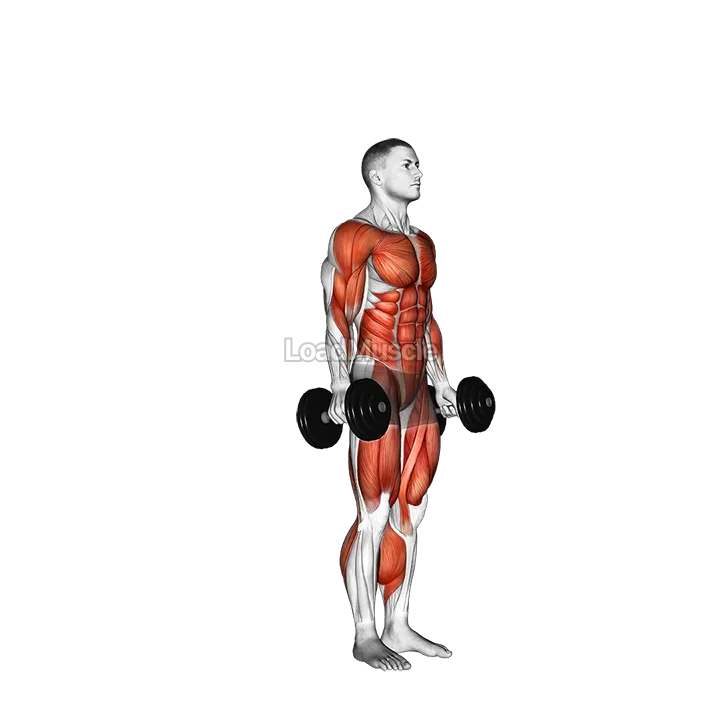 Dumbbell burpee demonstration