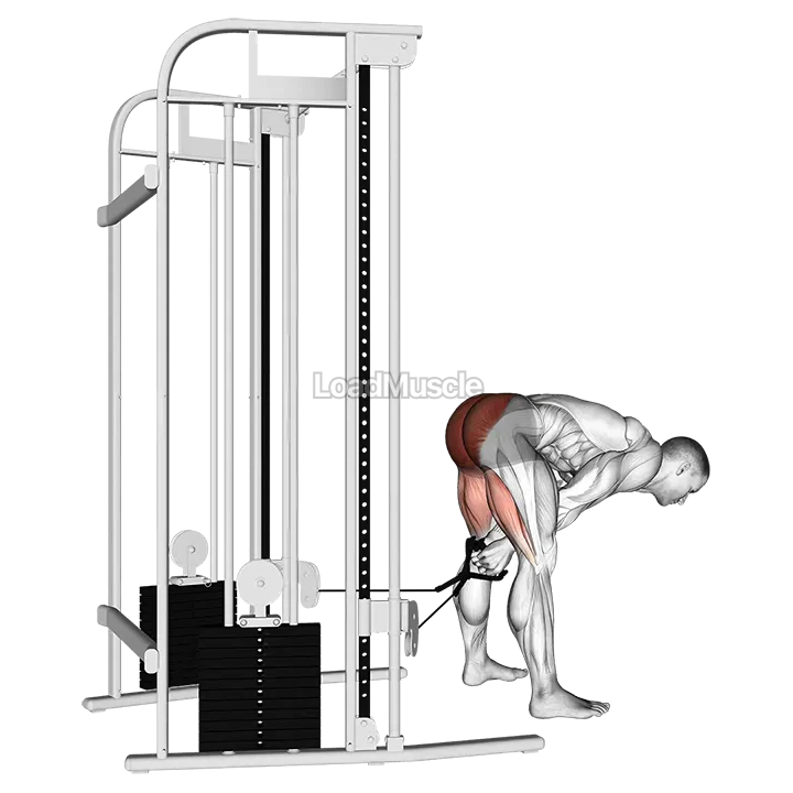Cable pull through demonstration