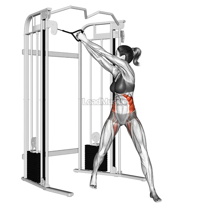 Cable twist (up down) demonstration