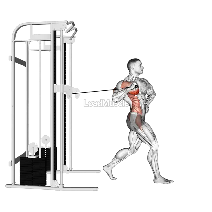 Cable twisting standing one arm chest press demonstration