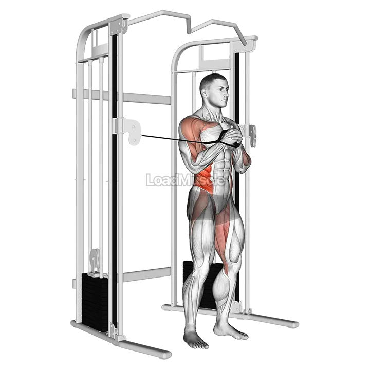 Cable vertical Pallof Press demonstration