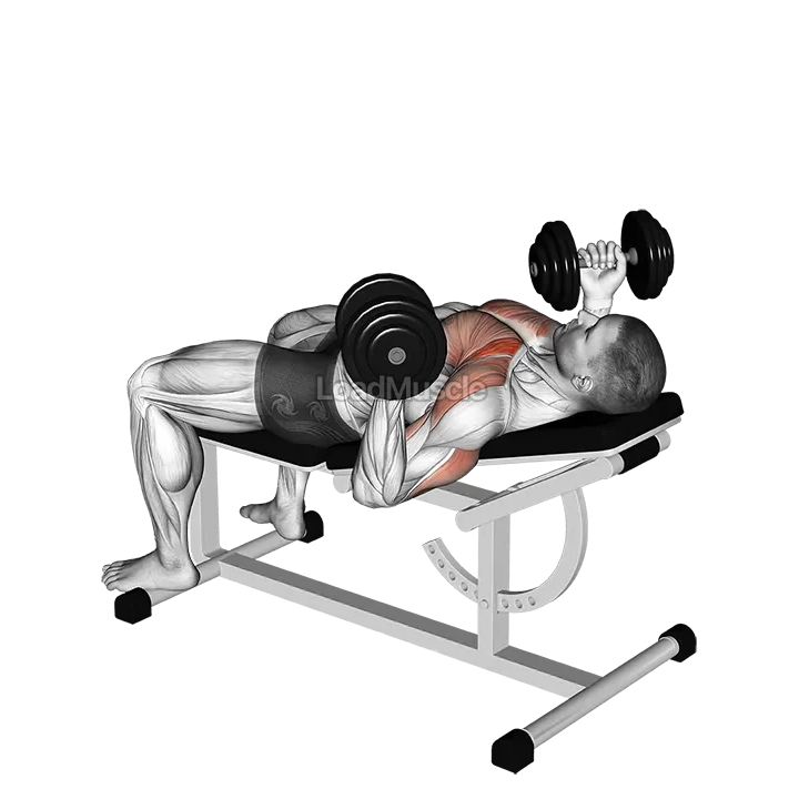 Dumbbell Incline reverse grip 30 degrees bench press demonstration