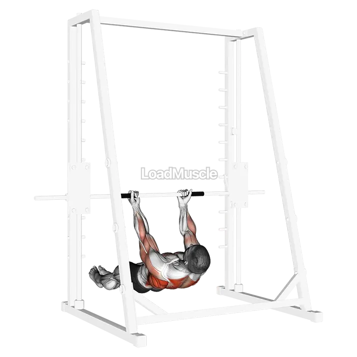 Underhand Grip Inverted Back Row demonstration