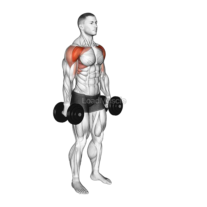 Dumbbell Standing Alternate Vertical Front Raises demonstration