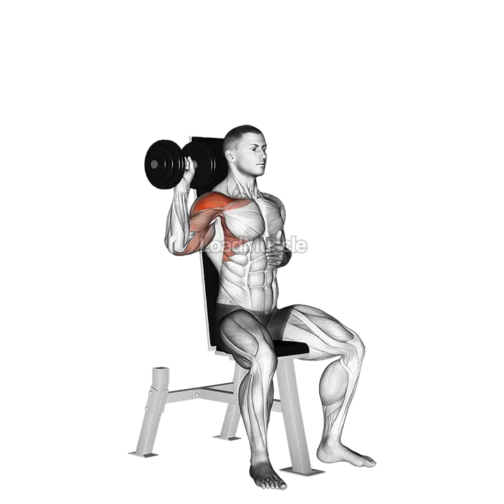 Dumbbell Seated One Arm Shoulder Press demonstration