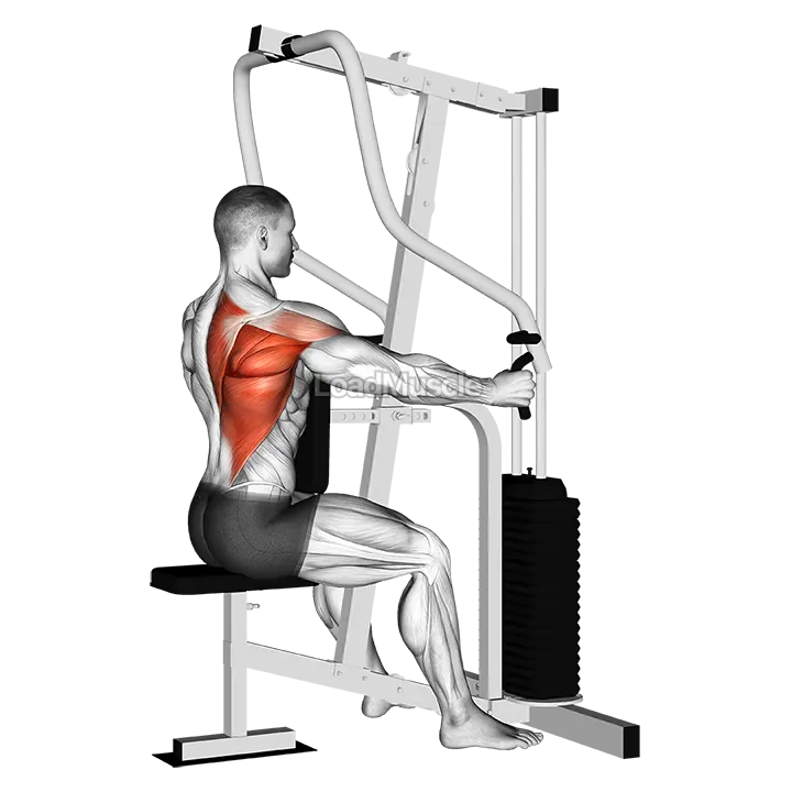 Lever One Arm Seated Row (Seated row machine) demonstration