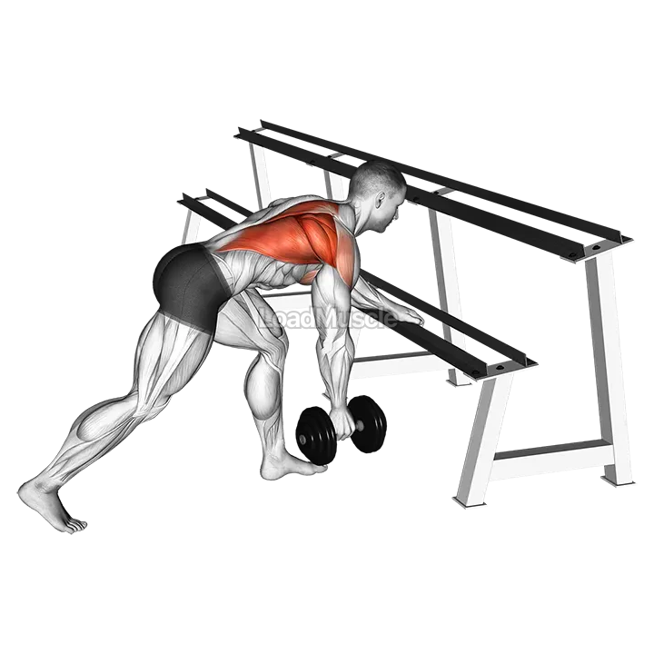 Dumbbell One Arm Row (rack support) demonstration