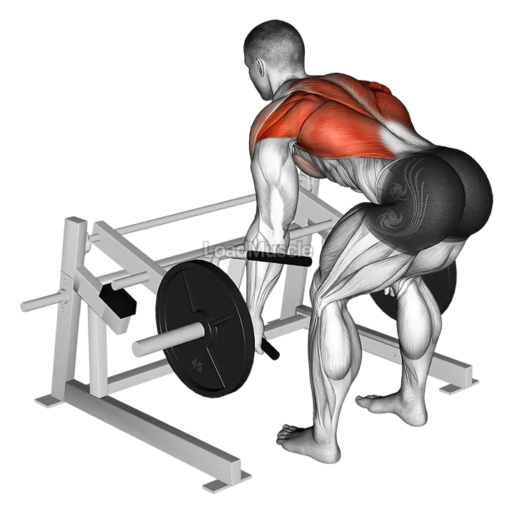 Lever Row (plate loaded) demonstration