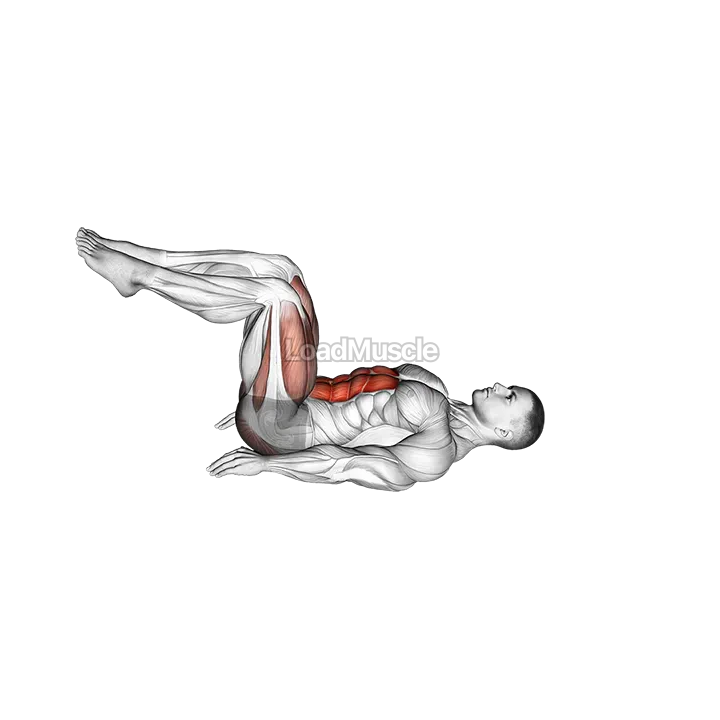 Dead Bug demonstration