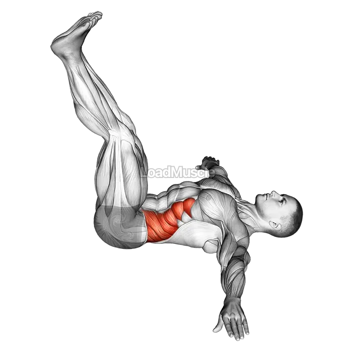 Wipers (straight leg) demonstration