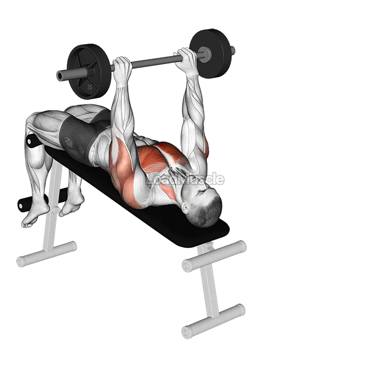 Barbell Decline Pullover demonstration