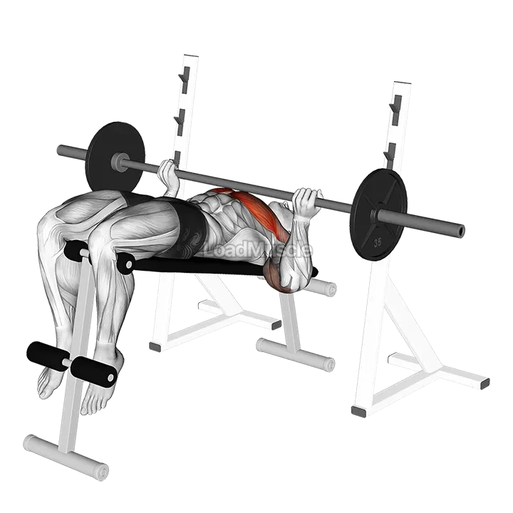 Barbell Reverse Grip Decline Bench Press demonstration