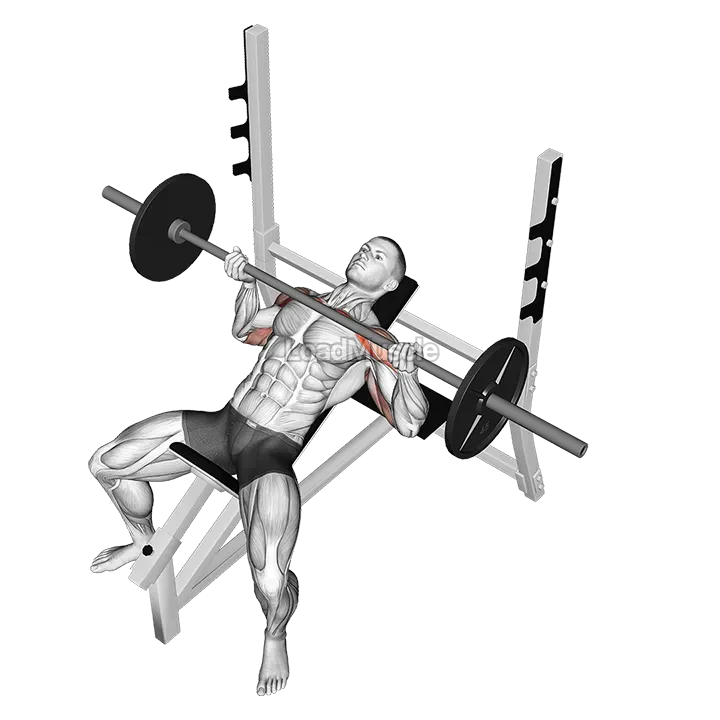 Barbell Reverse Grip Incline Bench Press demonstration