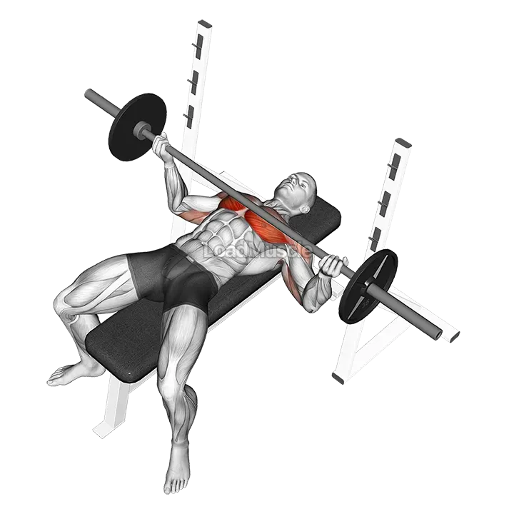 Barbell Wide Reverse Grip Bench Press demonstration