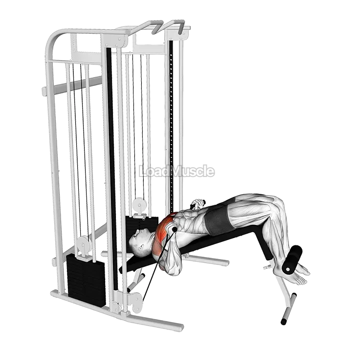 Cable Decline Press demonstration