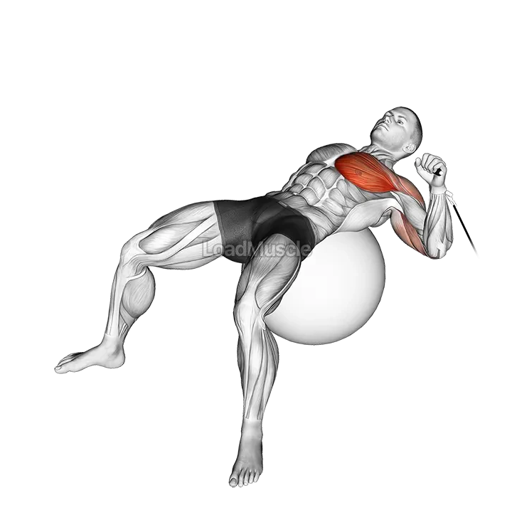 Cable One Arm Press on Exercise Ball demonstration