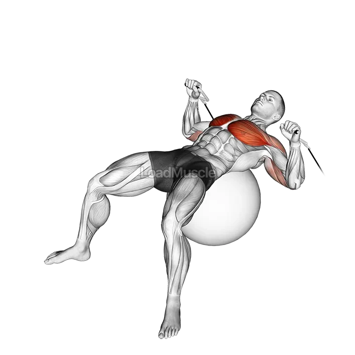 Cable Press on Exercise Ball demonstration