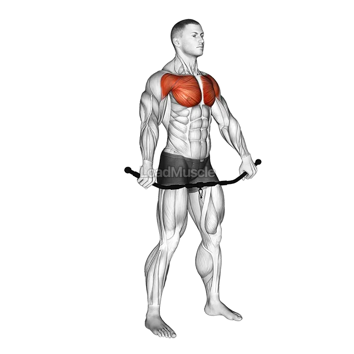 Chest and Front of Shoulder Stretch demonstration