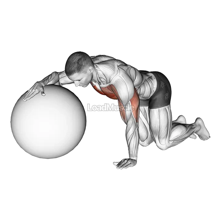 Chest Stretch with Exercise Ball demonstration