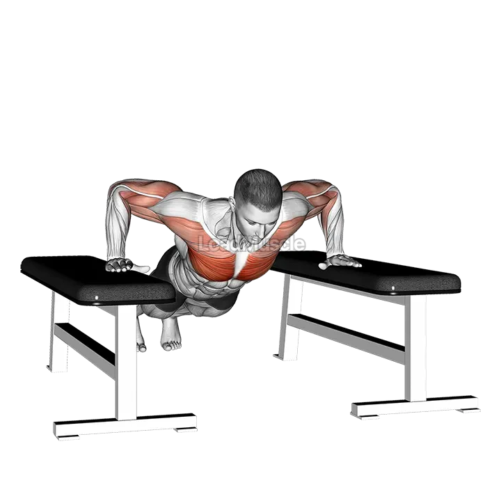 Drop Push Up demonstration